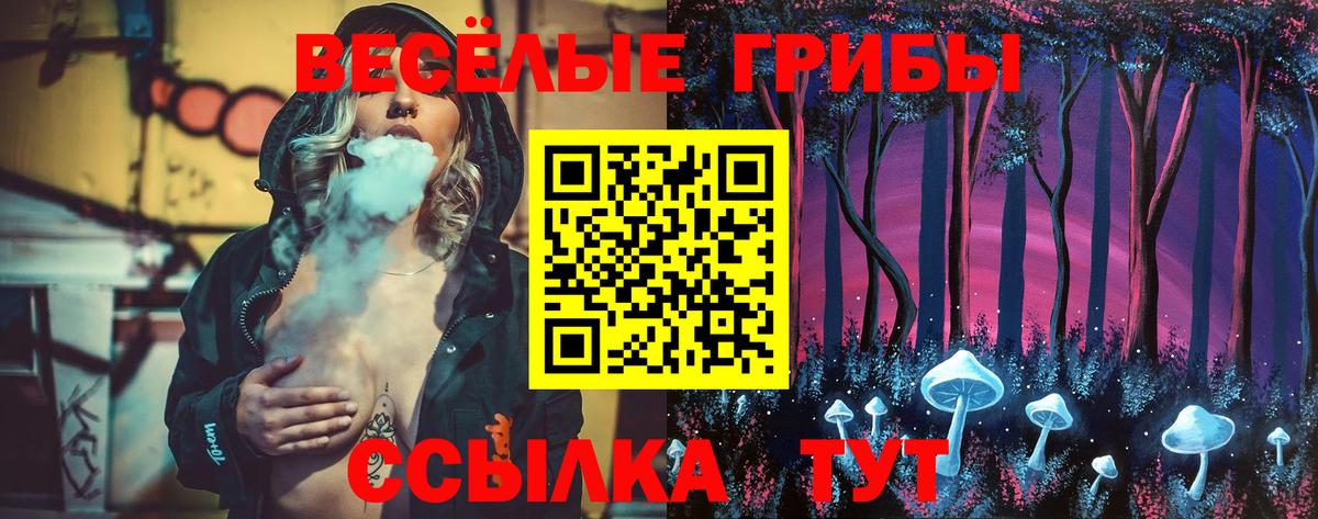 Апатиты  купить   Вход с VPN  Псилоцибиновые грибы GOLDEN TEACHER 