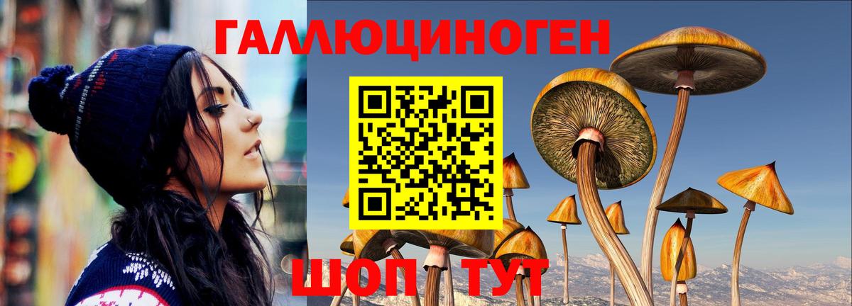 Псилоцибиновые грибы MAGIC MUSHROOMS Апатиты